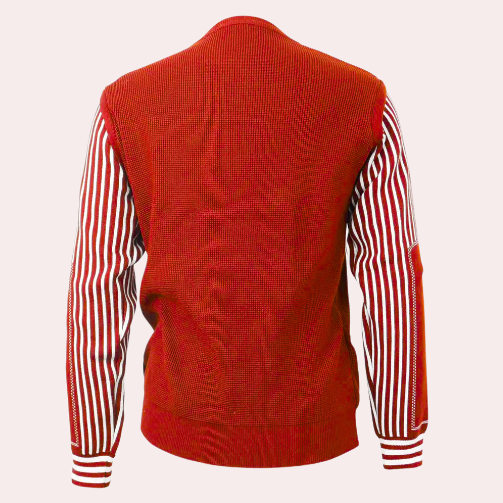 ANDERS - Pull élégant et décontracté pour lui